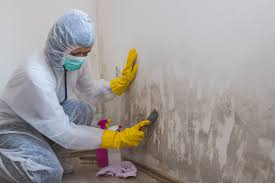 Best Residential Mold Inspection & Testing  in Jacksonville, TX